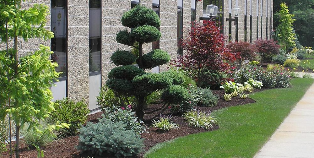 Professional Landscape Design, Installation & Maintenance in Worcester County, Massachusetts.
